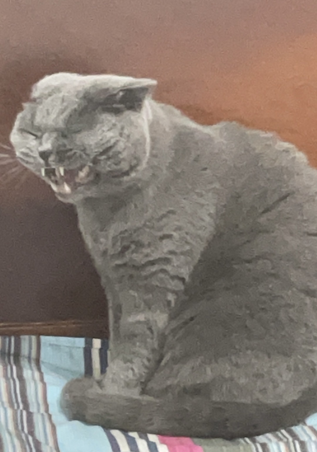 Xuyên thành động vật sau, bị ngậm lấy sau cổ! 